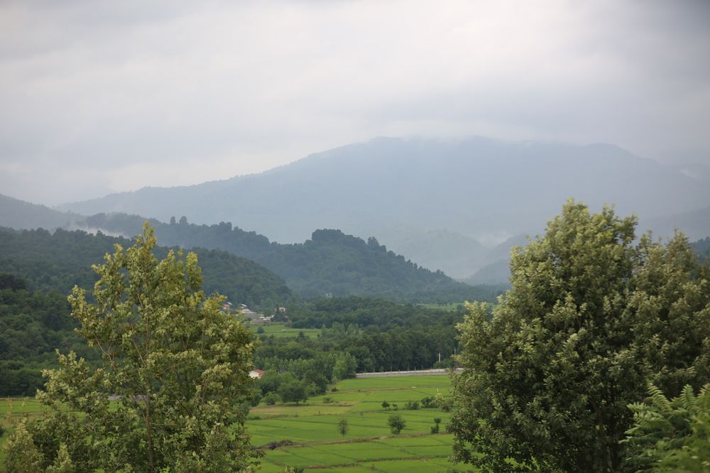 Photograph by Mohammadreza Majlesifar