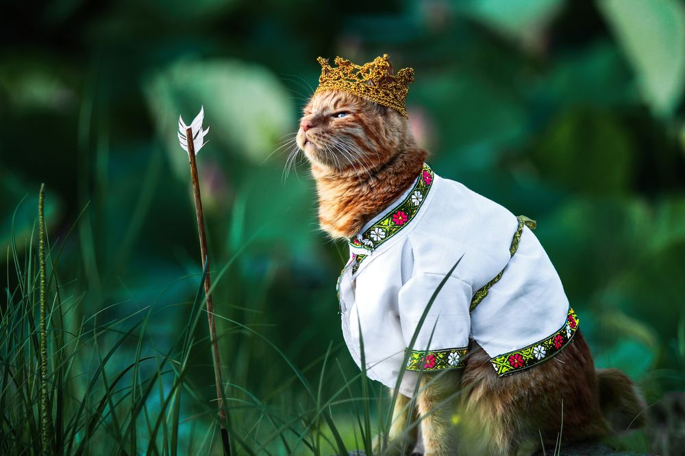 Царь, просто царь!