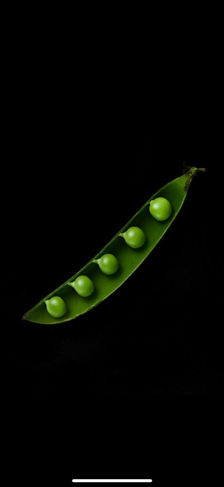 Photograph by Елизавета Варкентин