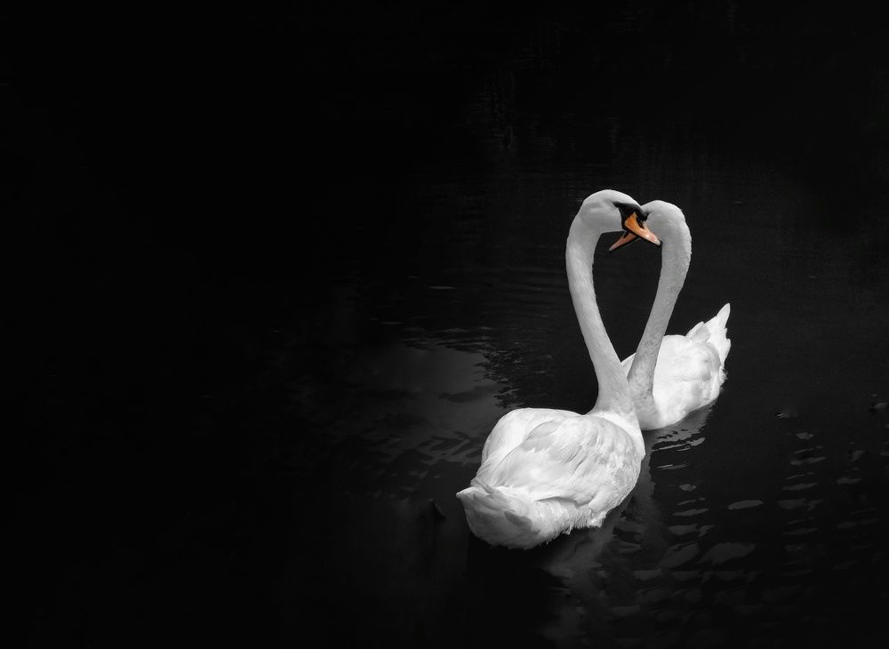 Photograph by Ahmad LOUKILI