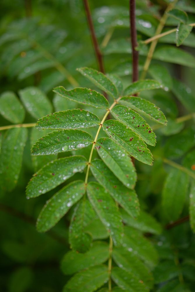 Photograph by Елизавета Варкентин