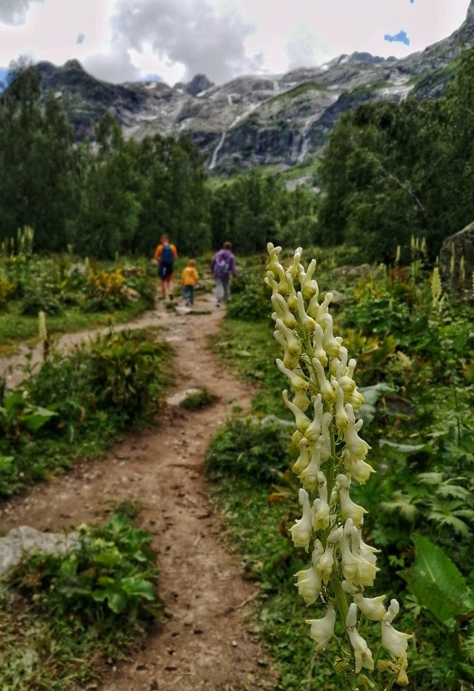 Photograph by Марина Гончарова
