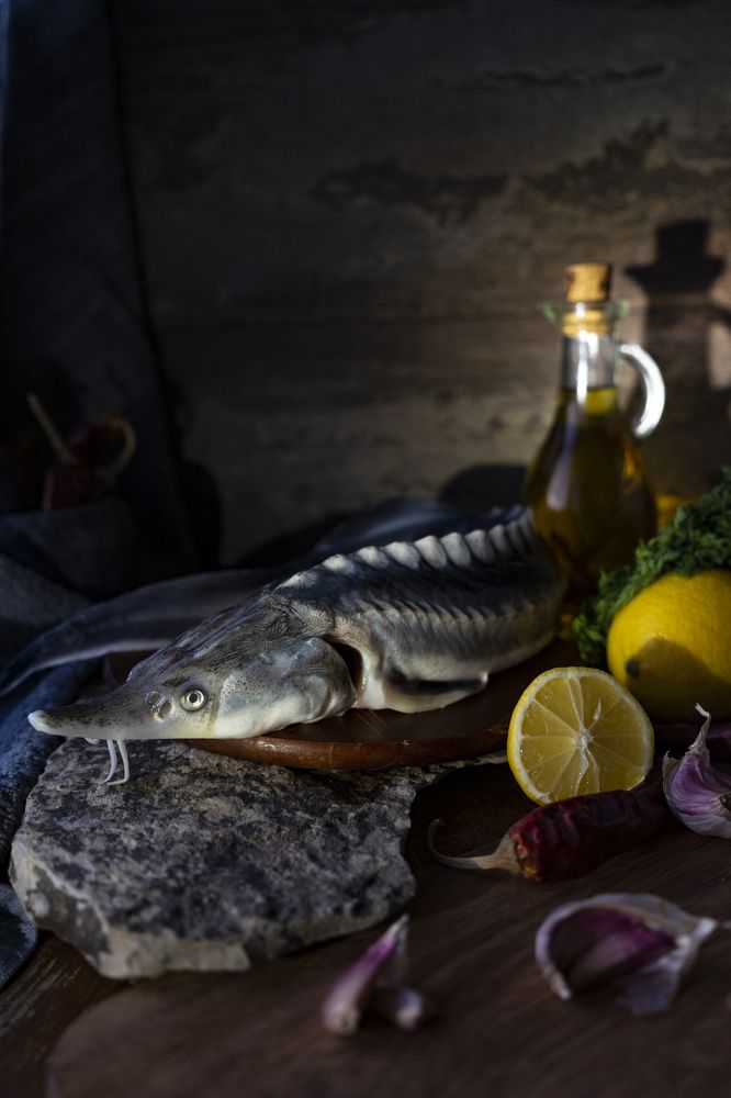 Рыбный день