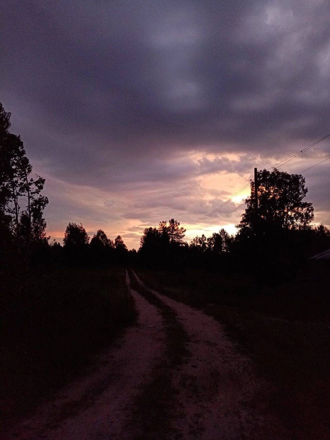 Photo #8012692