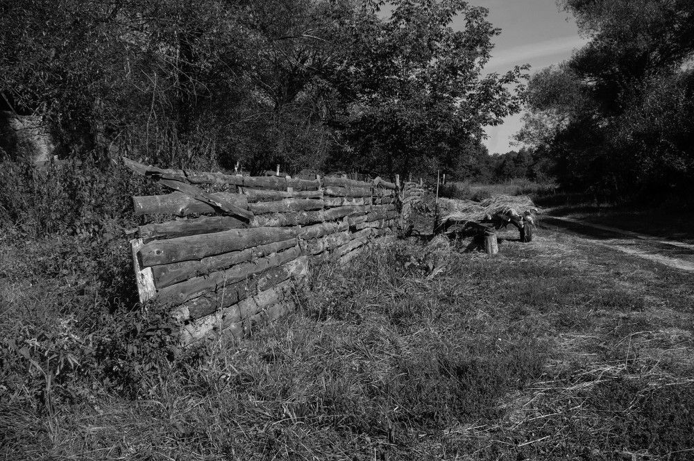 Photograph by Карнаухов Алексей