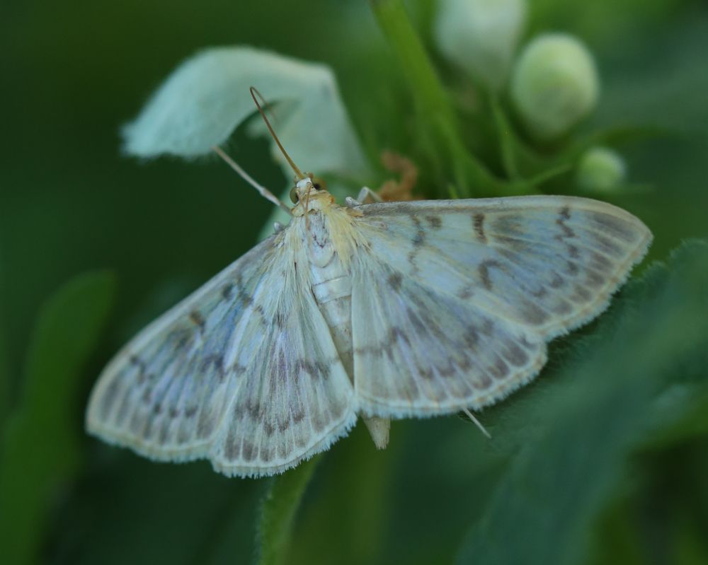 Photograph by Серегина Ирина