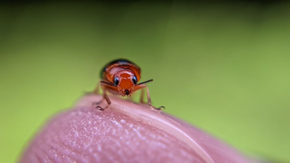 Photograph by Vijayakumar