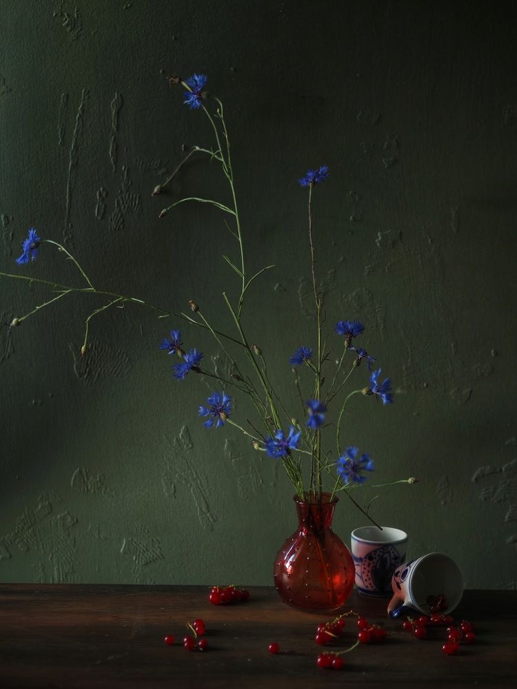 Photograph by Екатерина