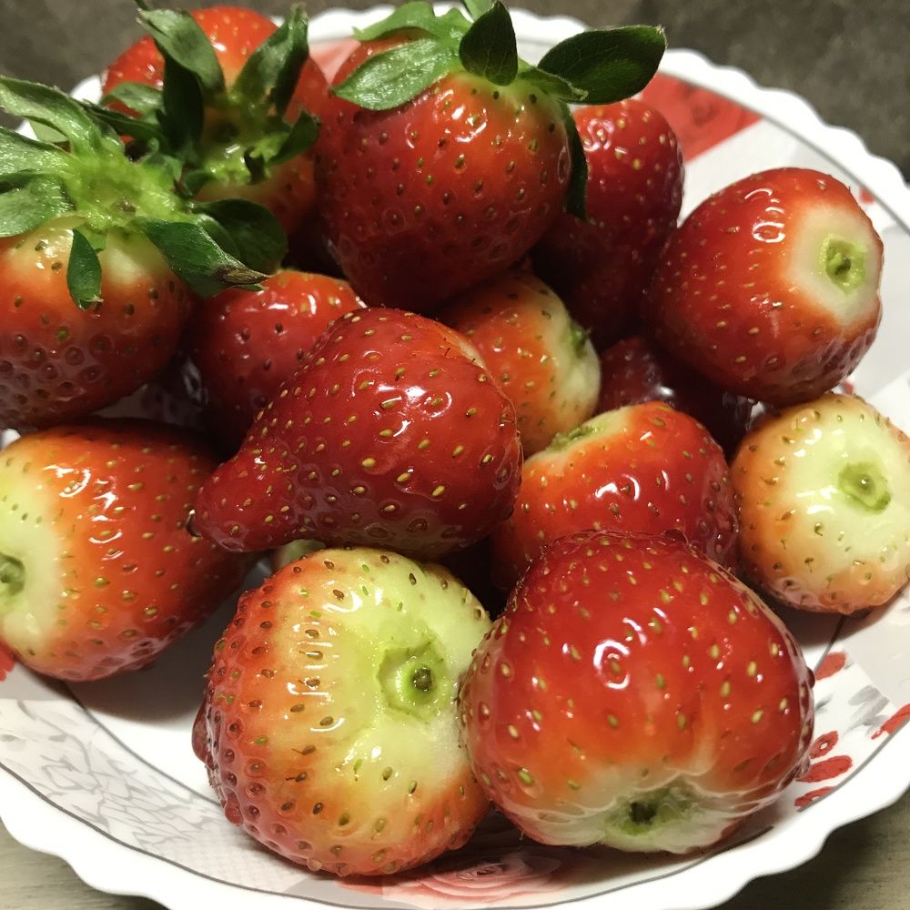 Photograph by Болдырева Ольга