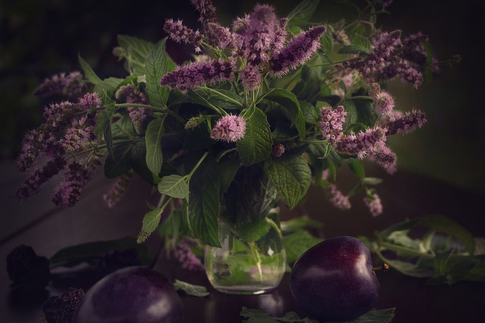 Photograph by Надежда Ржевская