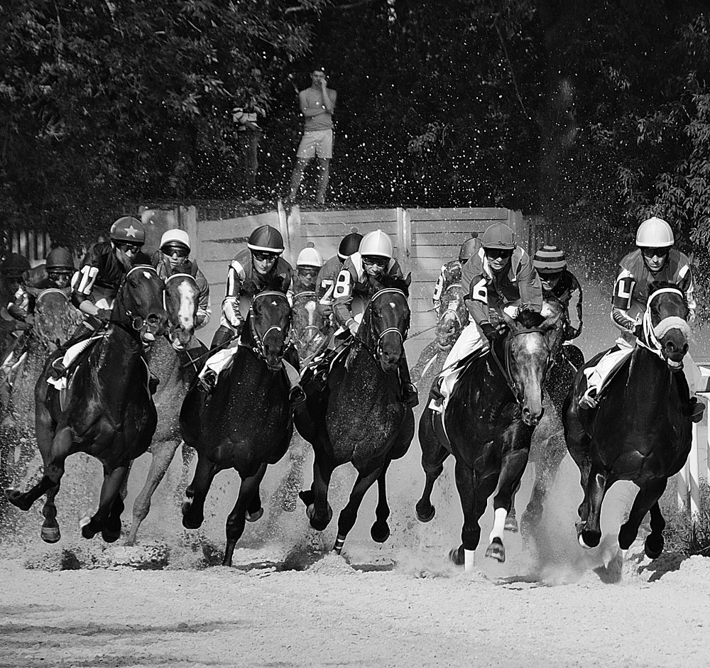 Photograph by Сергей Сережников