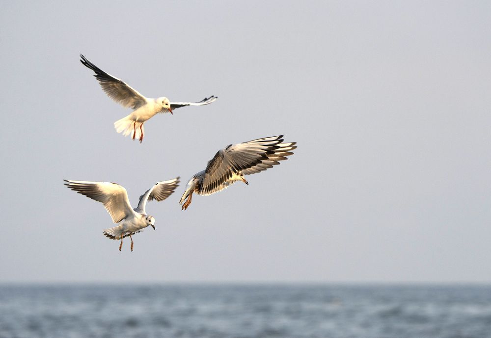 Photograph by Юрий Чернов