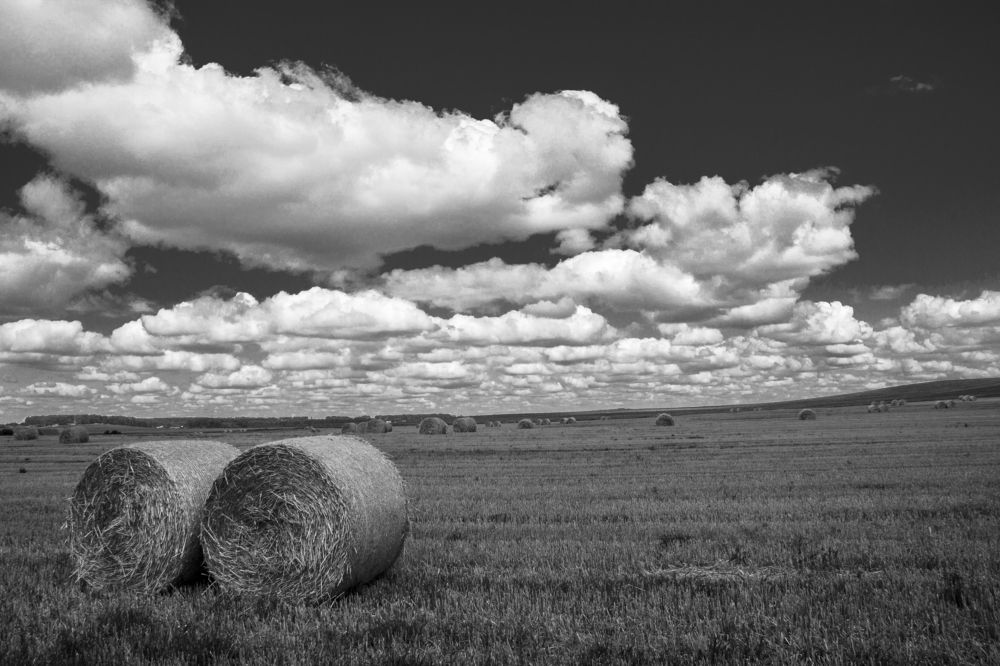 Август в Беларуси - 1 ч.б