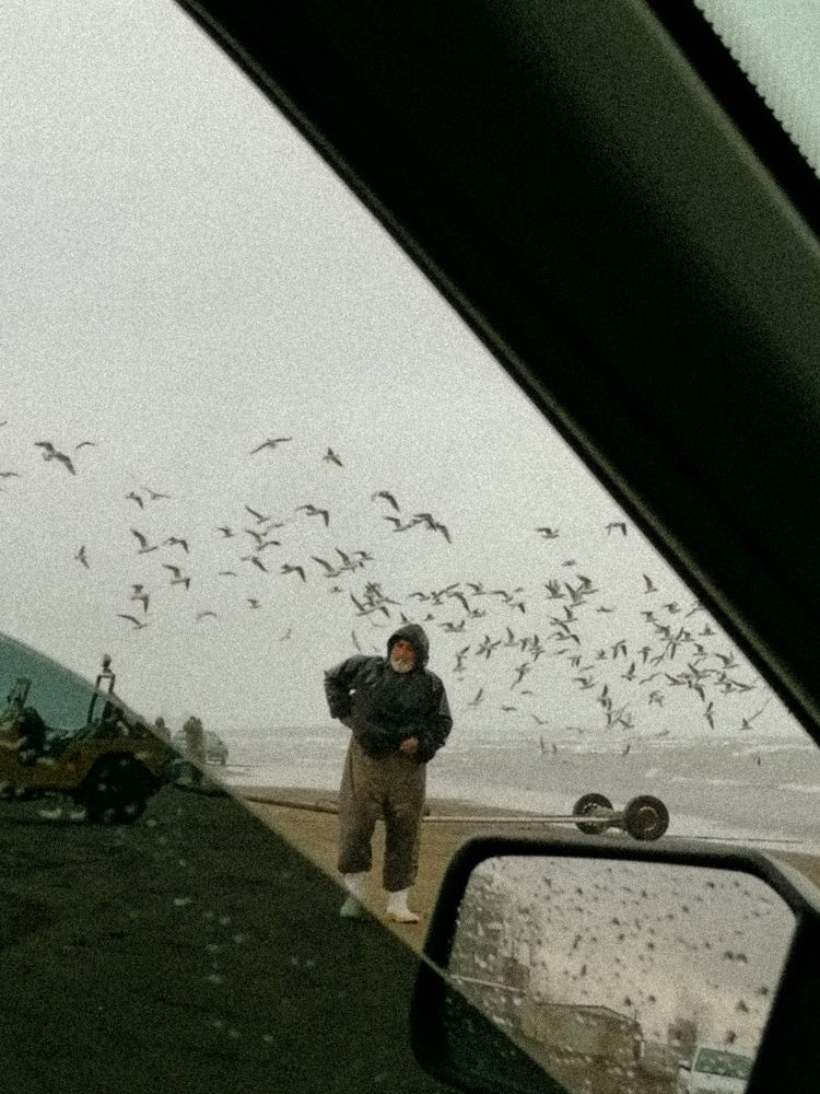 Photo #8013085