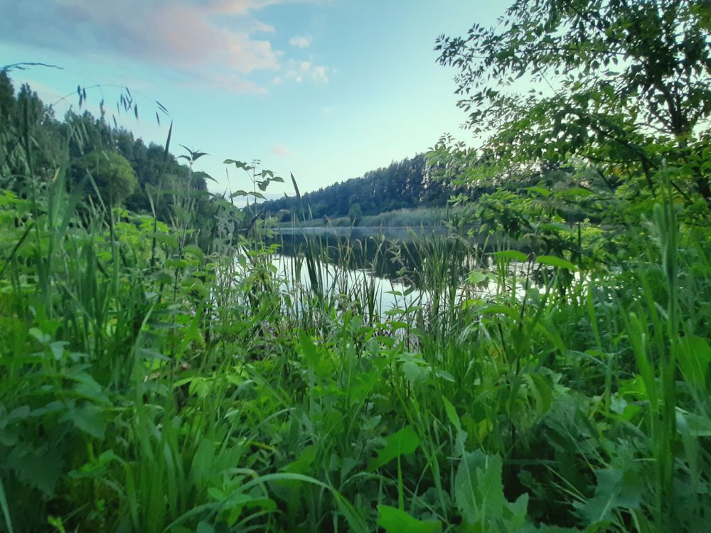 Photograph by Елизавета Карюченко