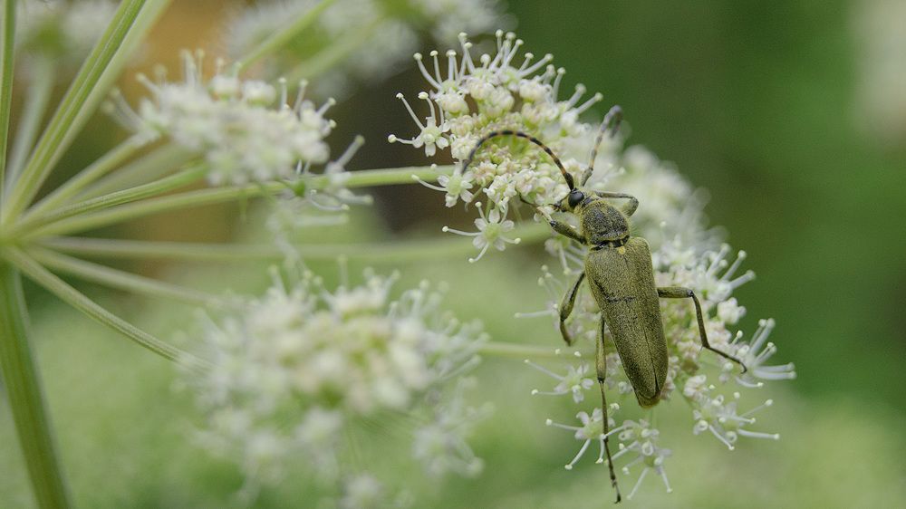 Photograph by Дмитрий