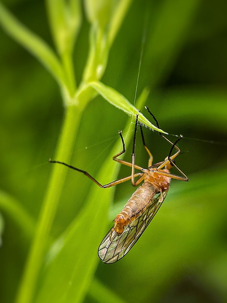 Photograph by Ольга Дорошенко