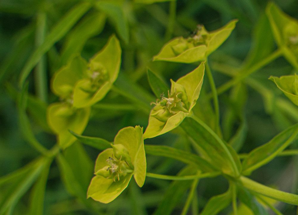 Photograph by Светлана Кочнева