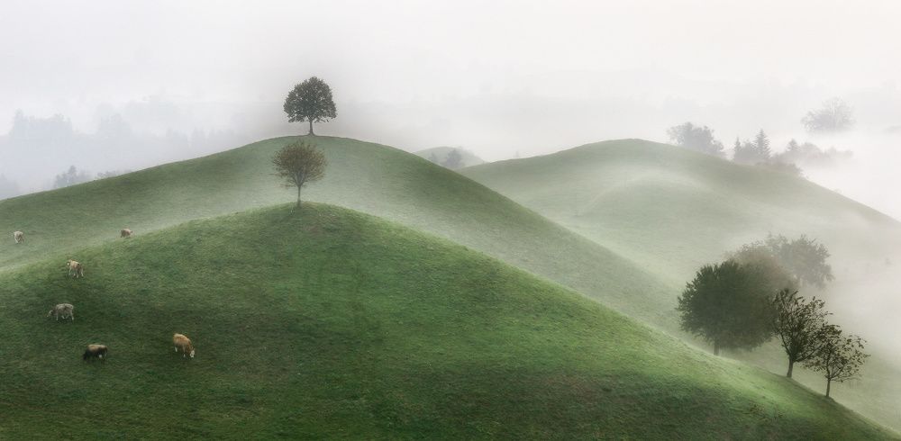 Photograph by Галина Хвостенко