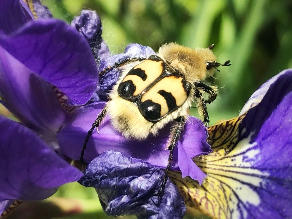 Photograph by Ирина Лисовец