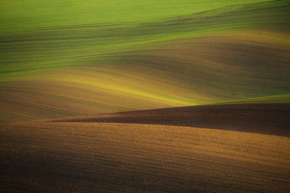 Velvet hills of Moravia