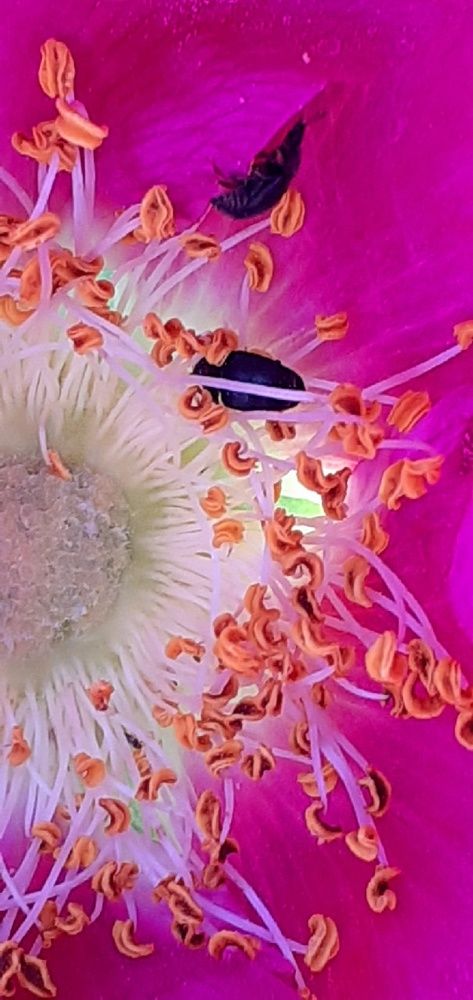 Photograph by Евгения Ульянова