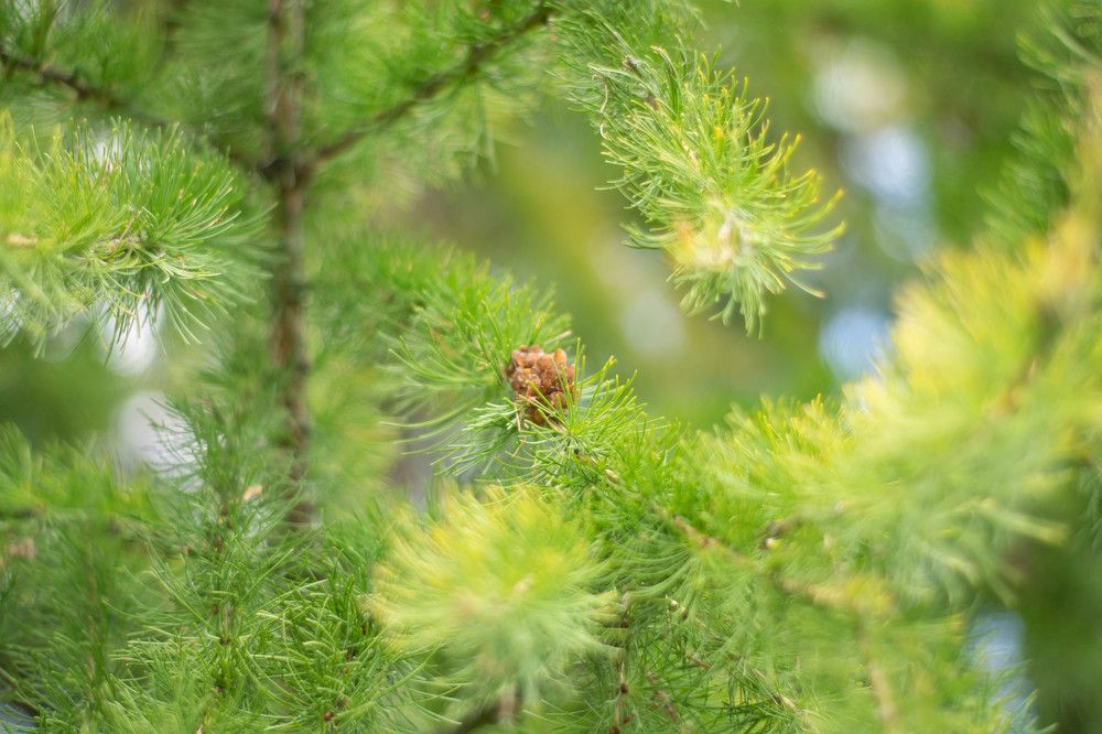 Photograph by Константин Зоткин