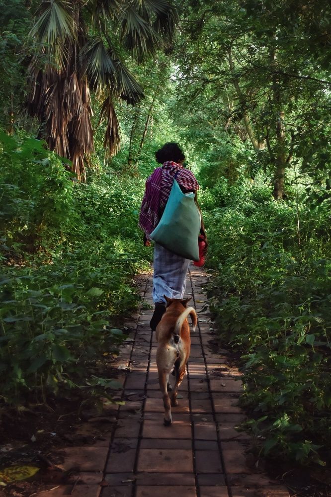 Фотография автора Dhrubo Soumyak Saha