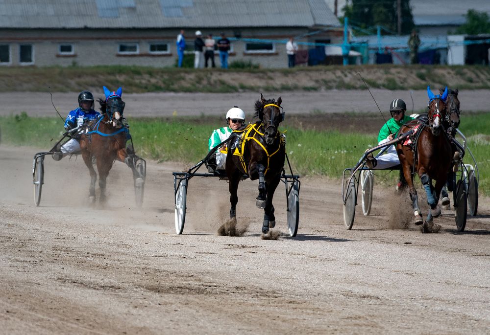 Photograph by Александр Перегудов