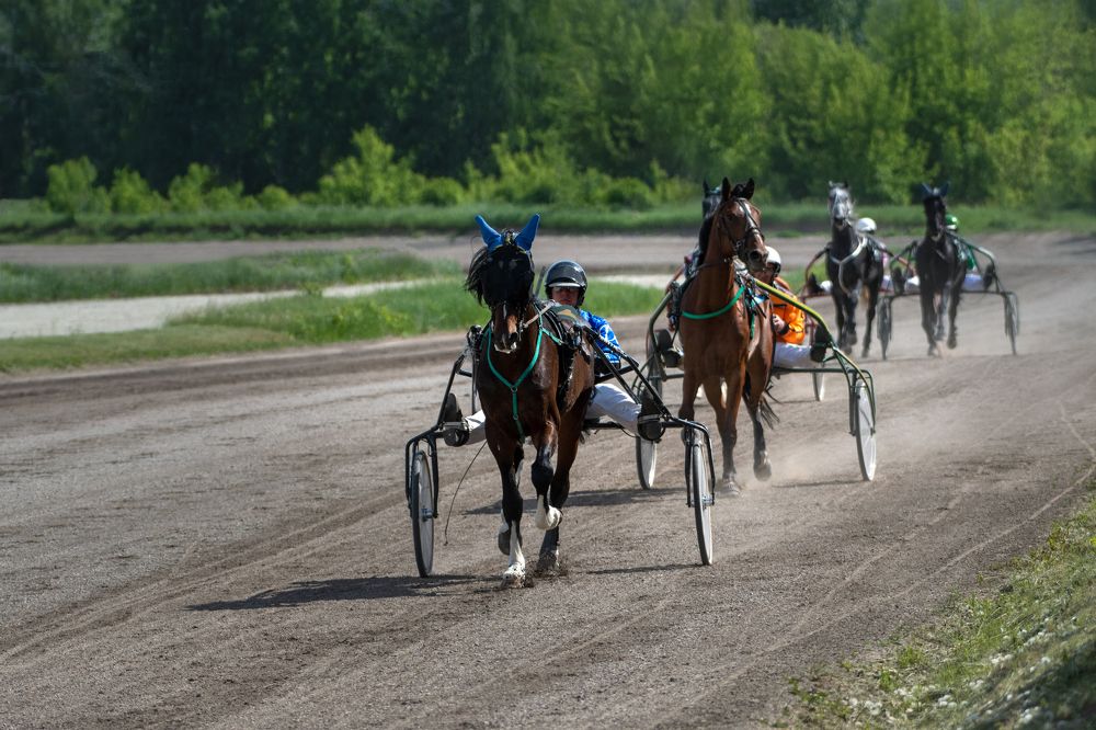 Photograph by Александр Перегудов