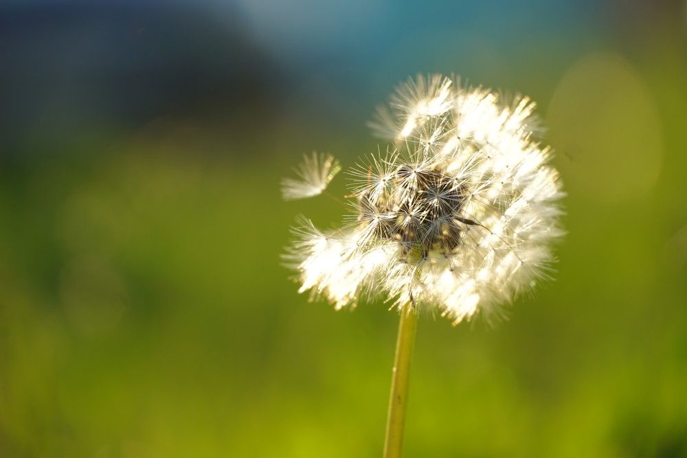 Photograph by Elena Budycheva