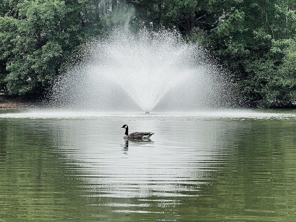 Фотография автора Olga Kichkaila