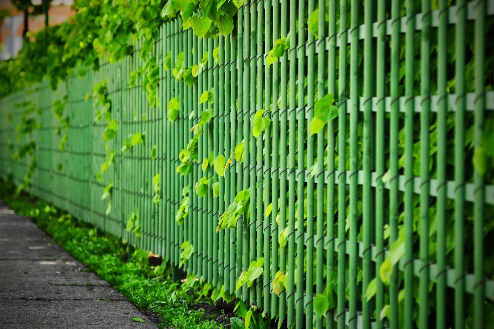 Санкт-Петербург