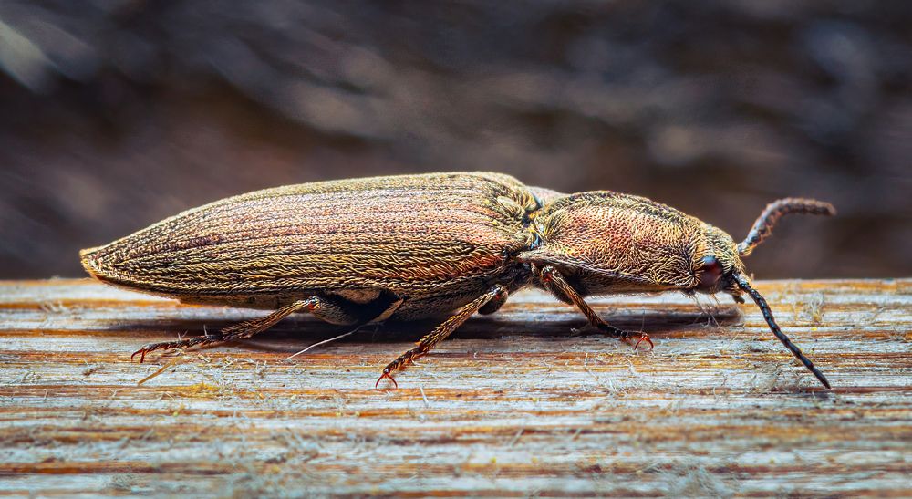 Photograph by Парфентьев Антон