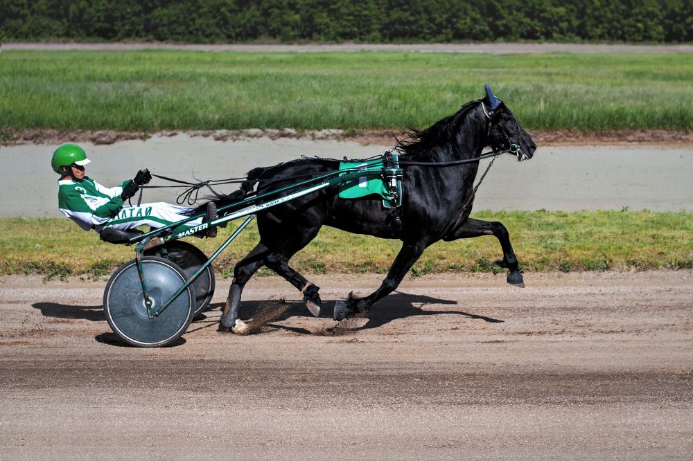 Photograph by Александр Перегудов