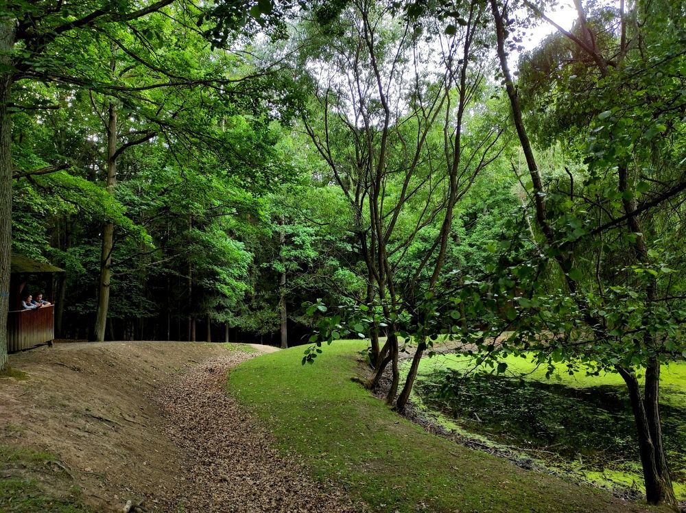 Photograph by Лысых Галина