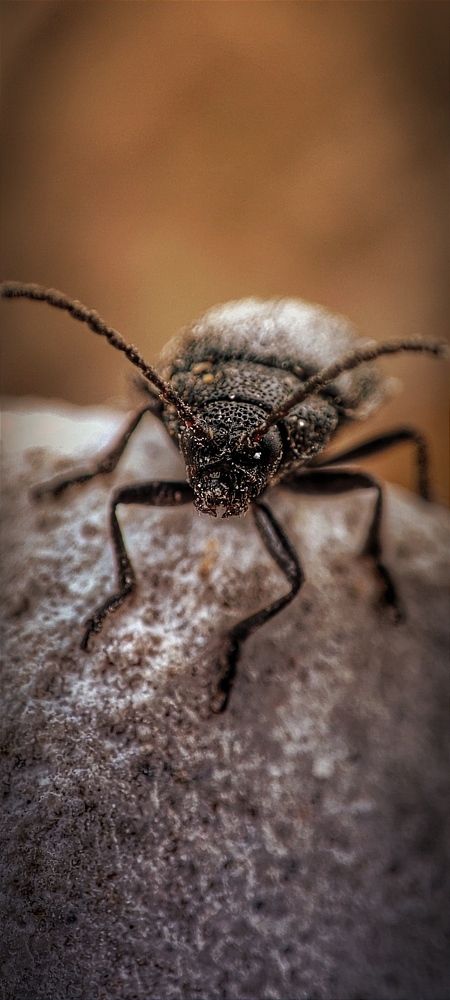 Photograph by Mar Kos