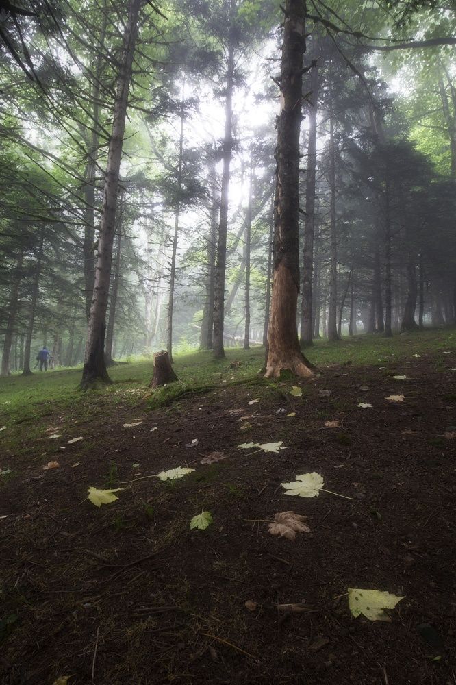 Photograph by Mamdouhi Saeed