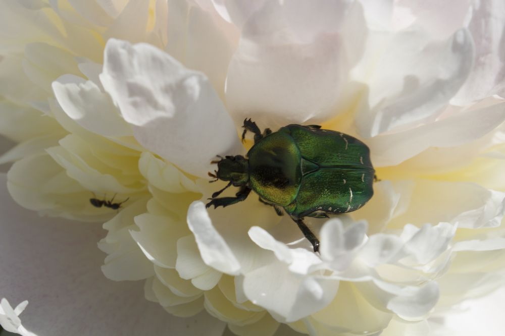 Photograph by Светлана