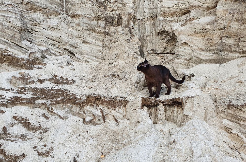 Фотография автора Надежда Лисицына