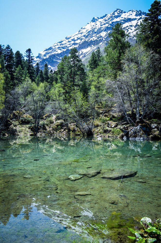 Окрестности Архыза