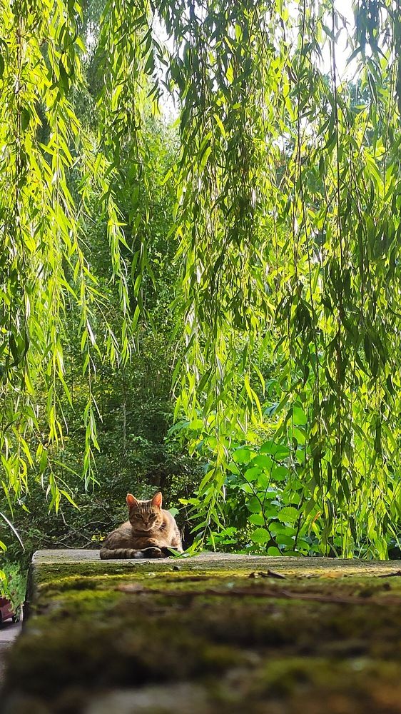 Photograph by Виктория Голубь