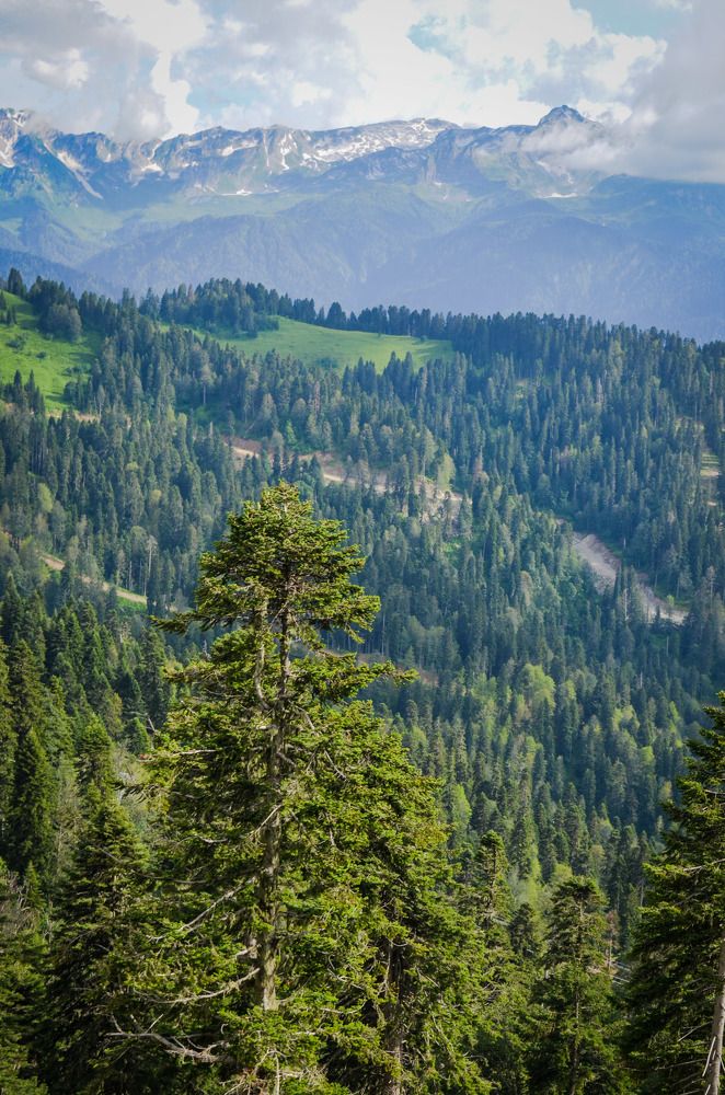 Photograph by Евгений Юдин