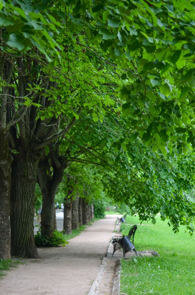 Photograph by Евгений Юдин