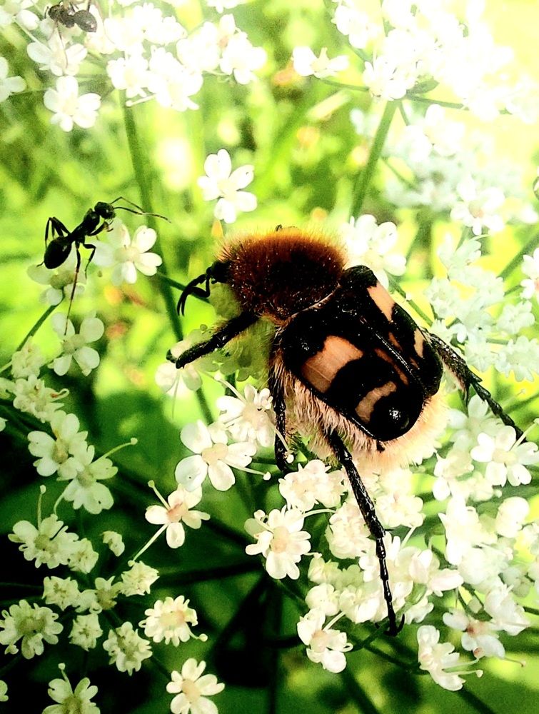 Photograph by Фролова Светлана