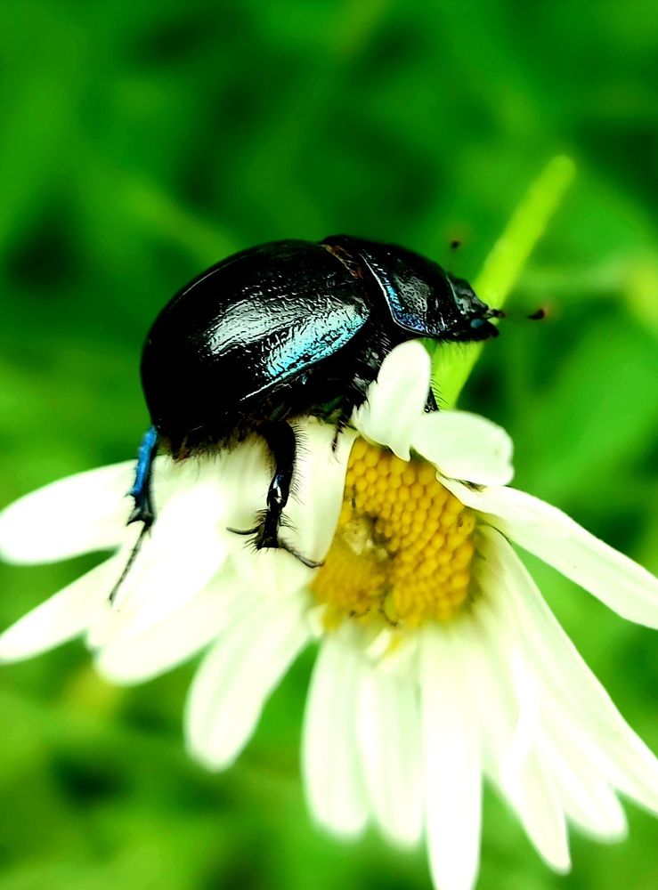 Photograph by Фролова Светлана