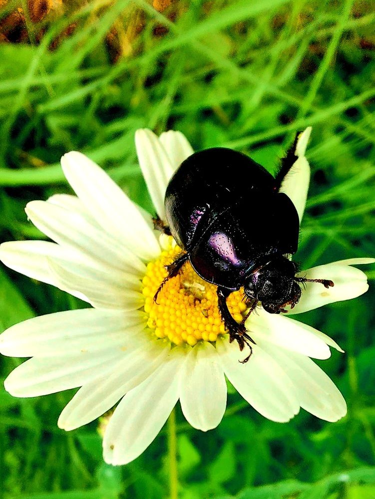 Photograph by Фролова Светлана