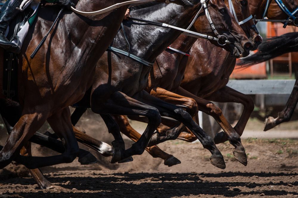 Photograph by Кристина Ксендзова