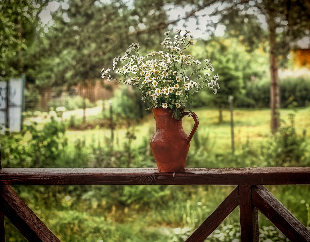 Photograph by Элла Алексеева