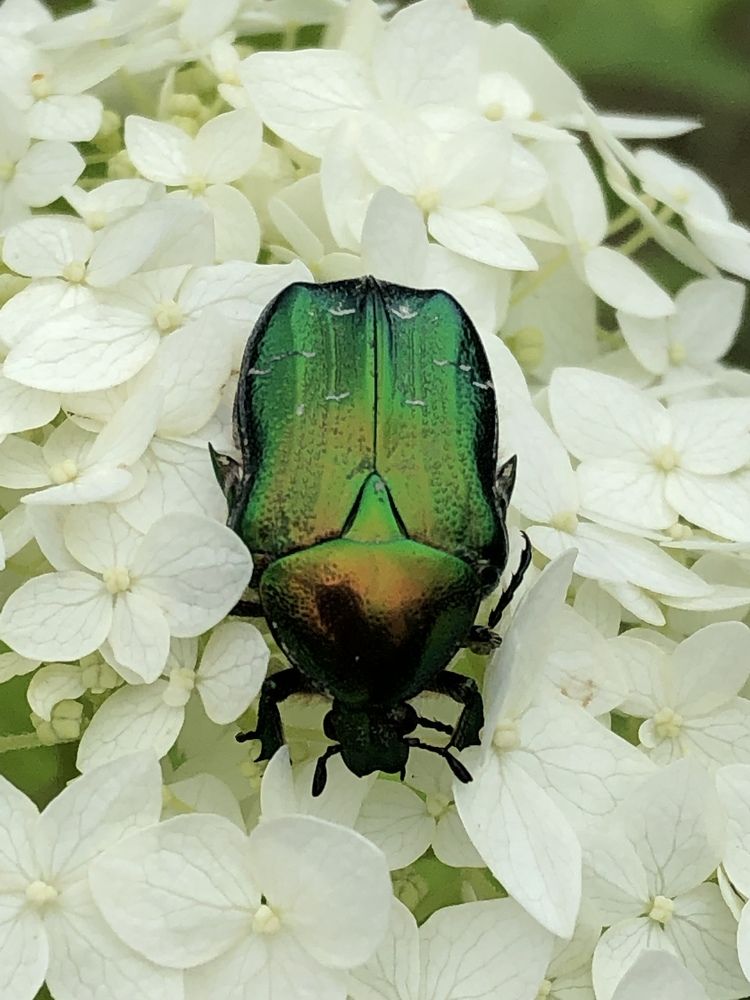 Photograph by Марина Георгиева